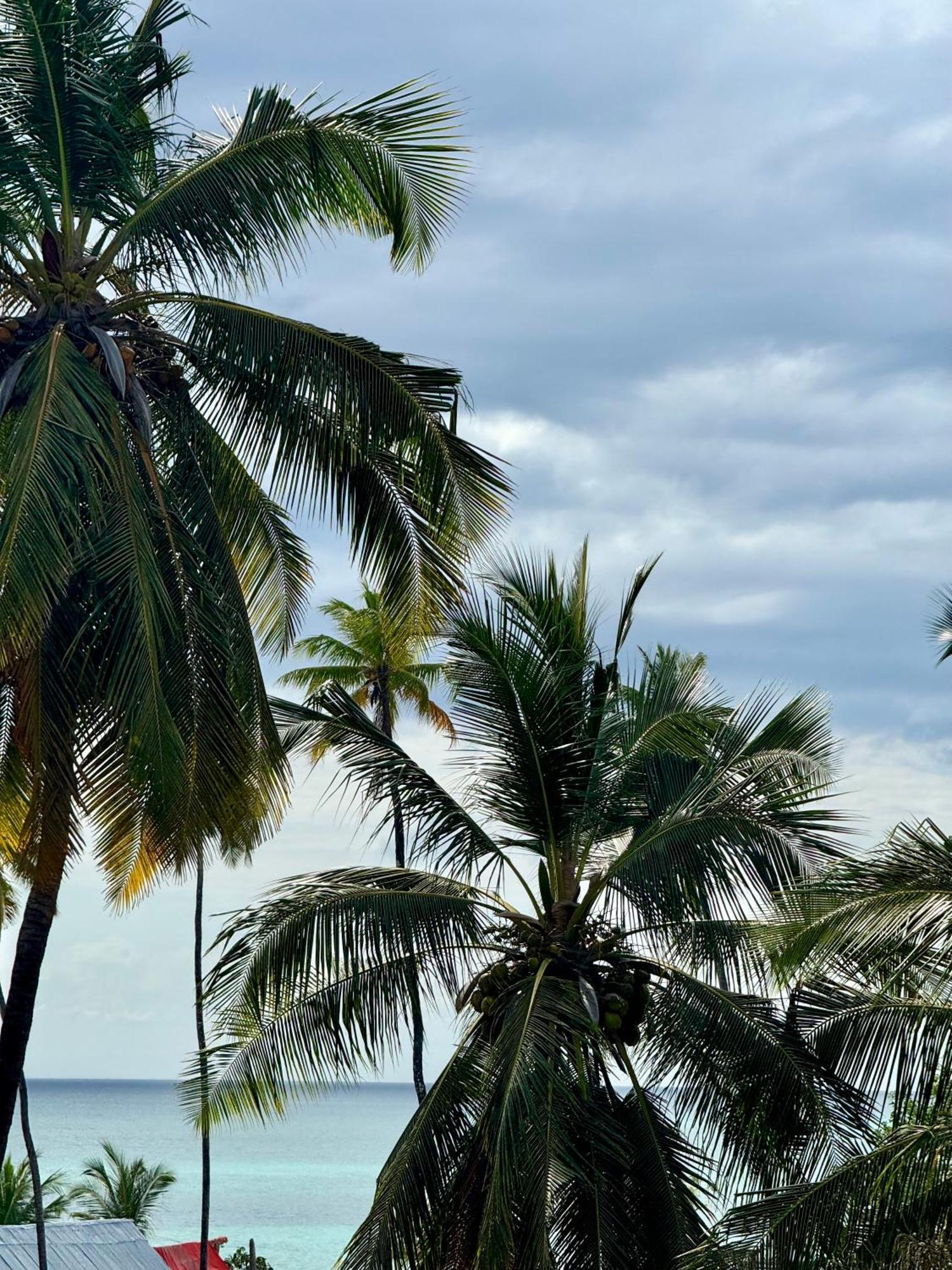 Rafiki Hotel Nungwi Beach Ngoại thất bức ảnh